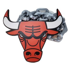 BULLS LOGO CHAIN